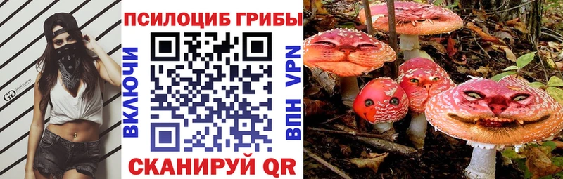 Галлюциногенные грибы Psilocybe  Надым 