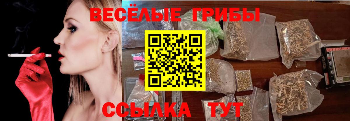 Надым  Псилоцибиновые грибы MAGIC MUSHROOMS  купить наркотики цена  Псилоцибиновые грибы ЛСД  Вход с VPN 