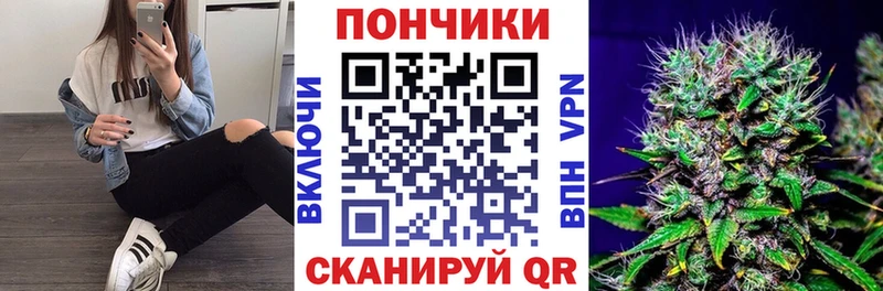 Бошки марихуана SATIVA & INDICA  купить закладку  Надым 